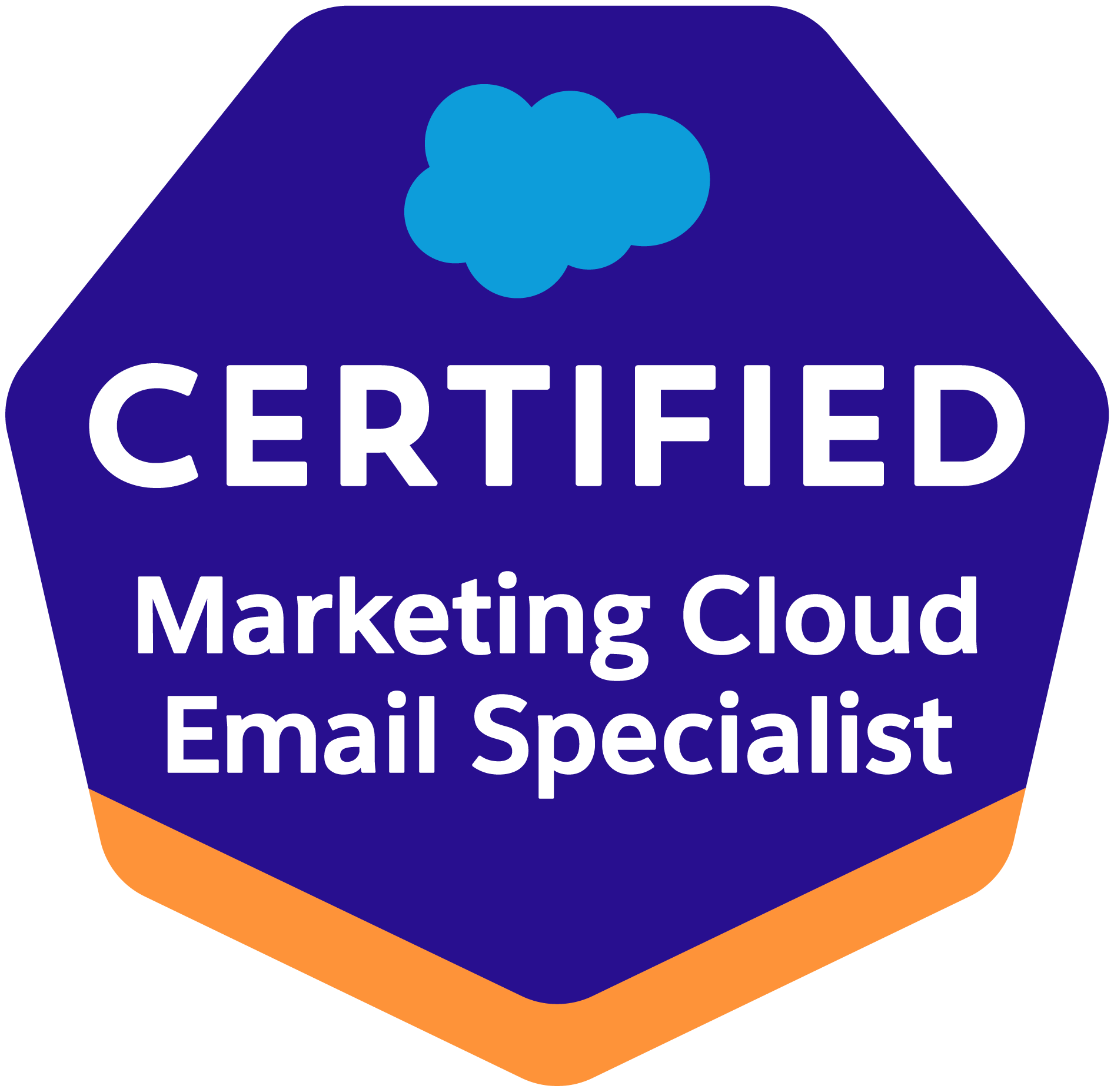 Salesforce Marketing Cloud Email Specialist Certificate